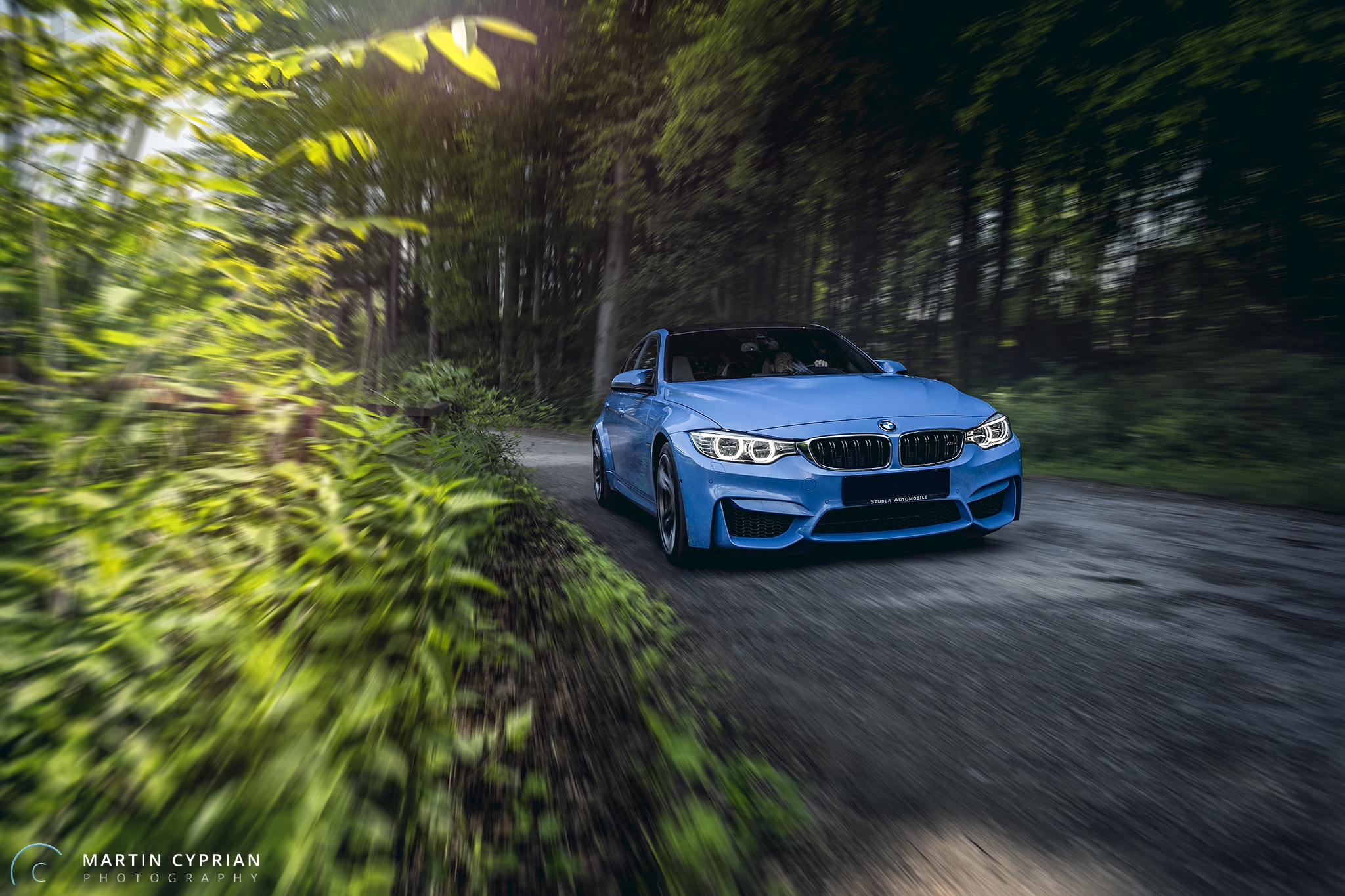 BMW M3 2016 (3).jpg